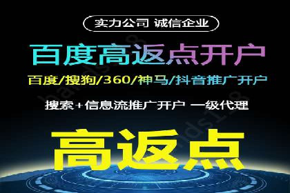 竞价推广中的着陆页策略：成功案例解读